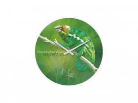 Часы настенные Nicole Time NT503 в Садовом - sadovyj.mebel-nsk.ru | фото